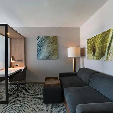 Springhill Suites By Marriott Austin Cedar Park Exterior photo