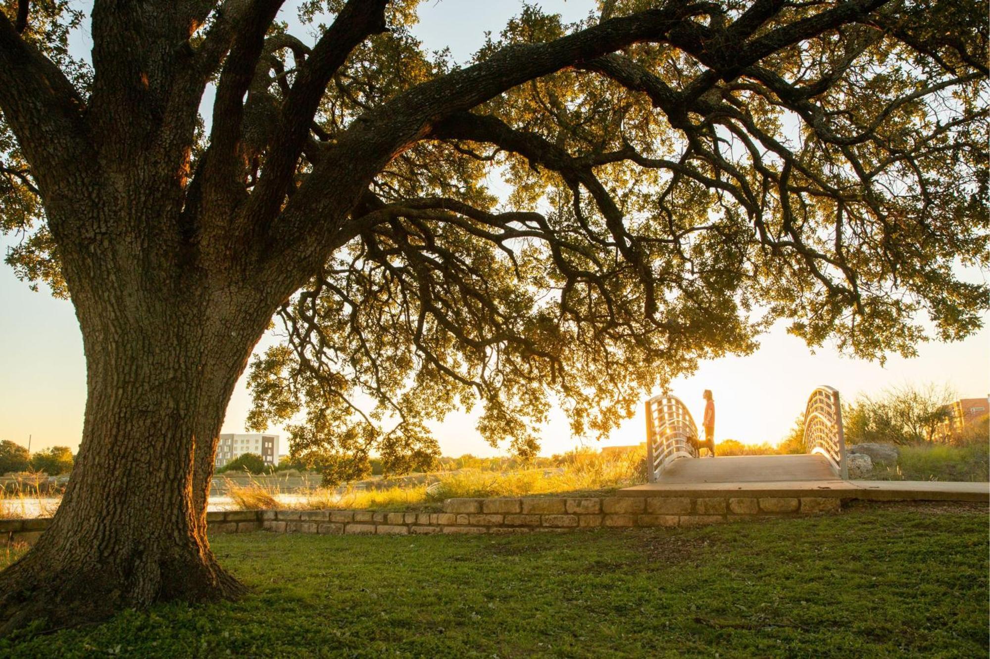 Springhill By Marriott Austin Cedar Park